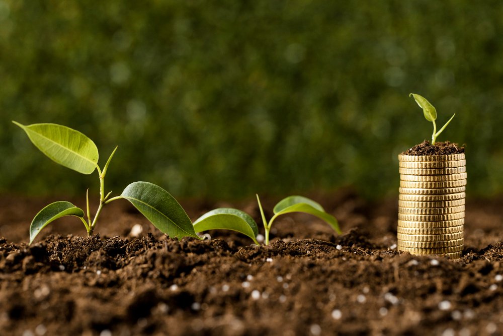 Plántulas creciendo junto a una pila de monedas, símbolo del ahorro
